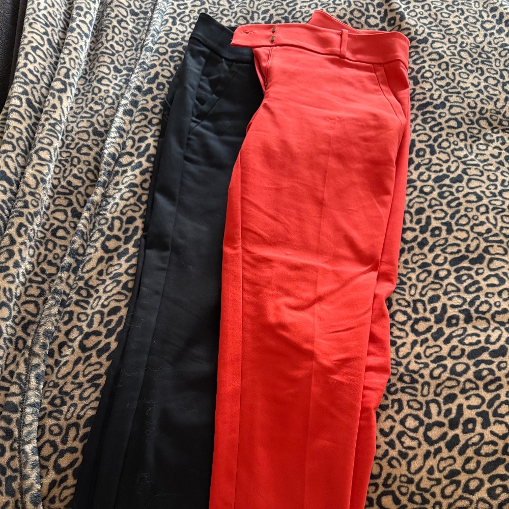 LOFT Marisa Skinny Bundle (2 Pairs!)